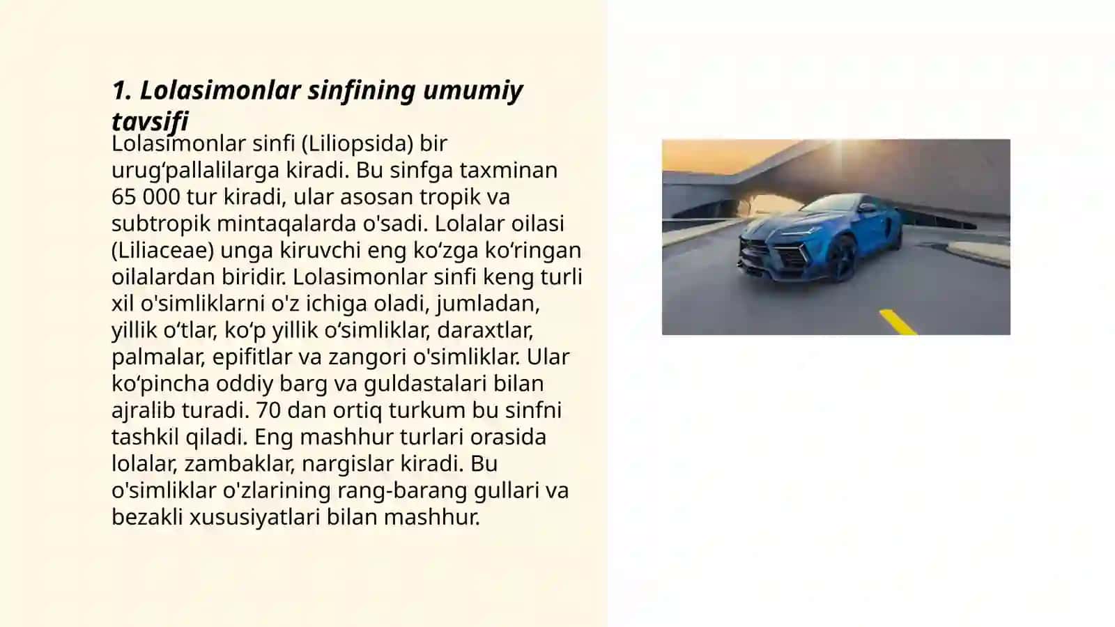 Lolasimonlar yoki bir uruğ pallalilar sinfi 3