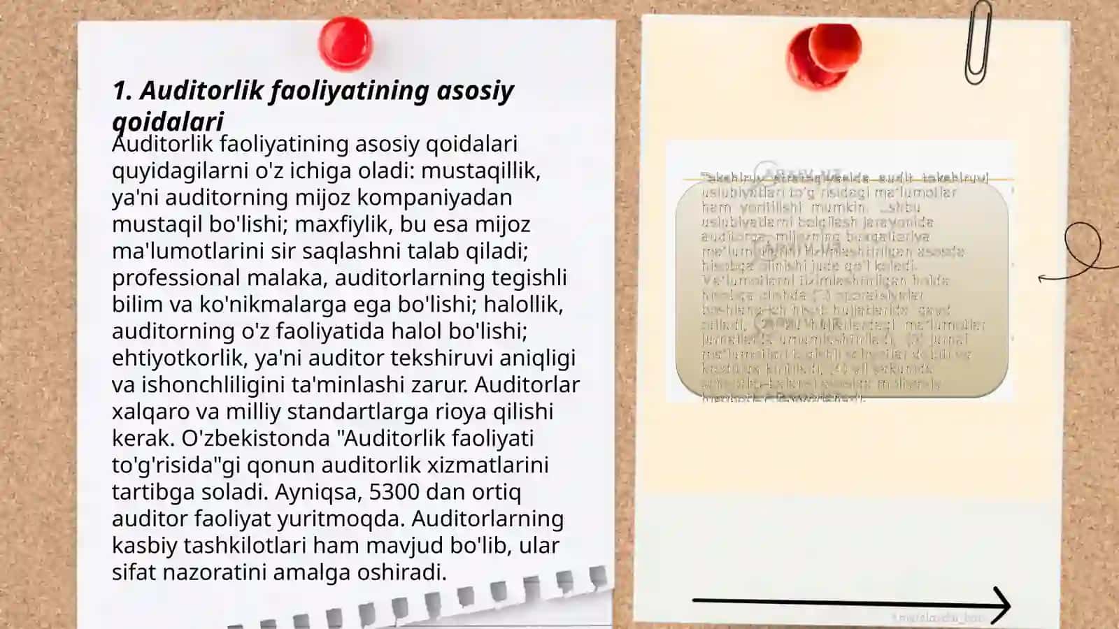 Auditorlik tekshiruvi 3