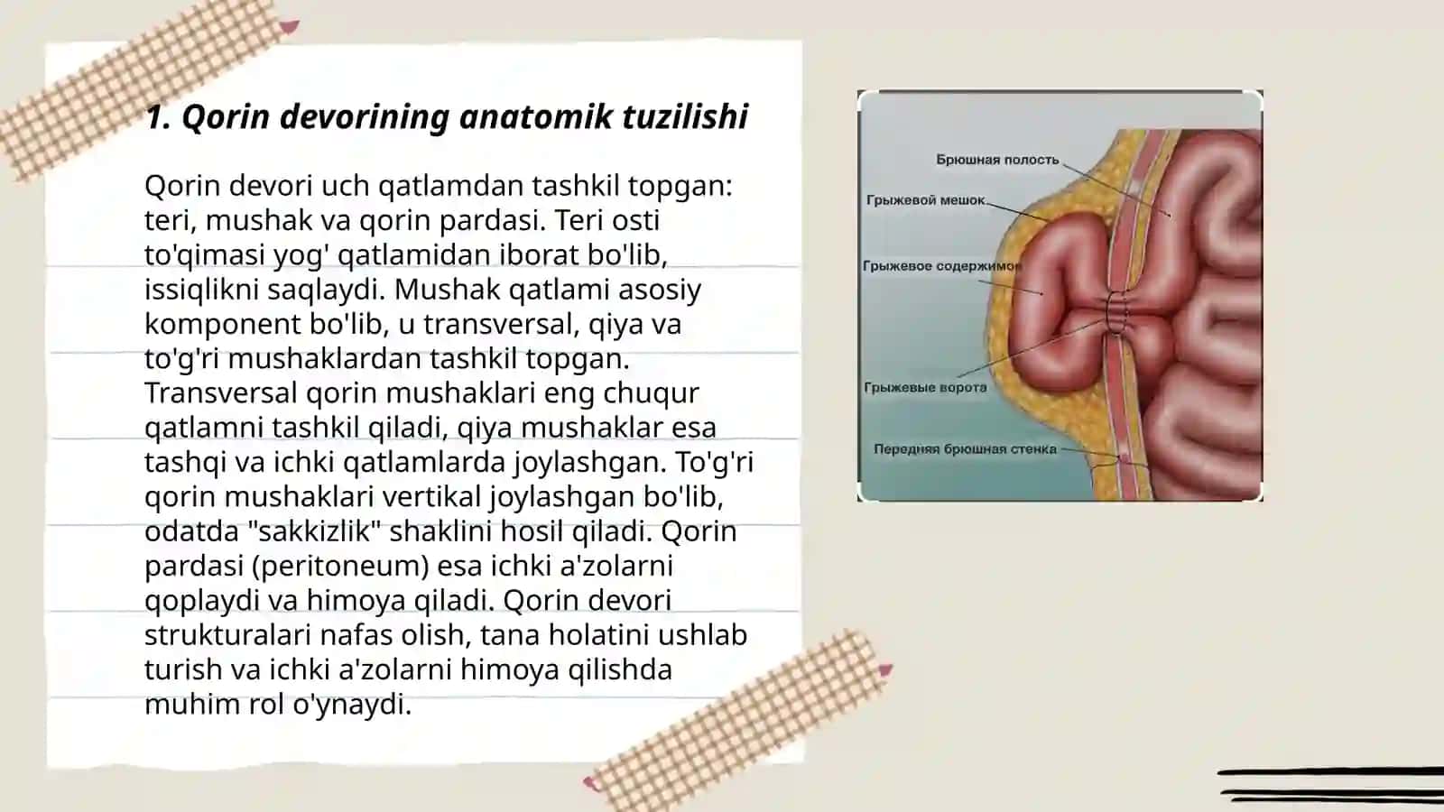 Qorin devori tug’ma anomaliyalarning topografik anatomiyasi va operatsiyalari 3