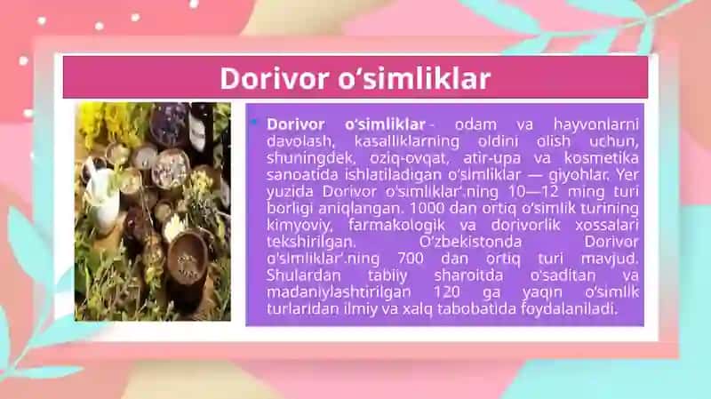 Dorivor o'simliklar zaxiralarini aniqlanish 3