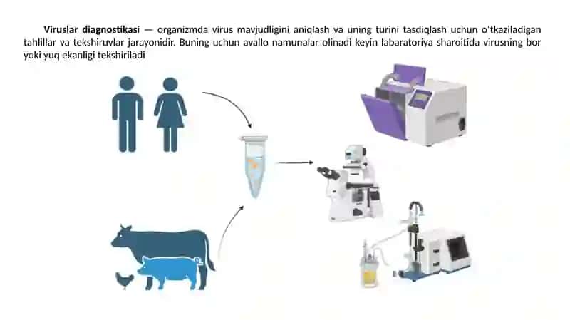 VIRUSLAR DIAGNOSTIKASI 3