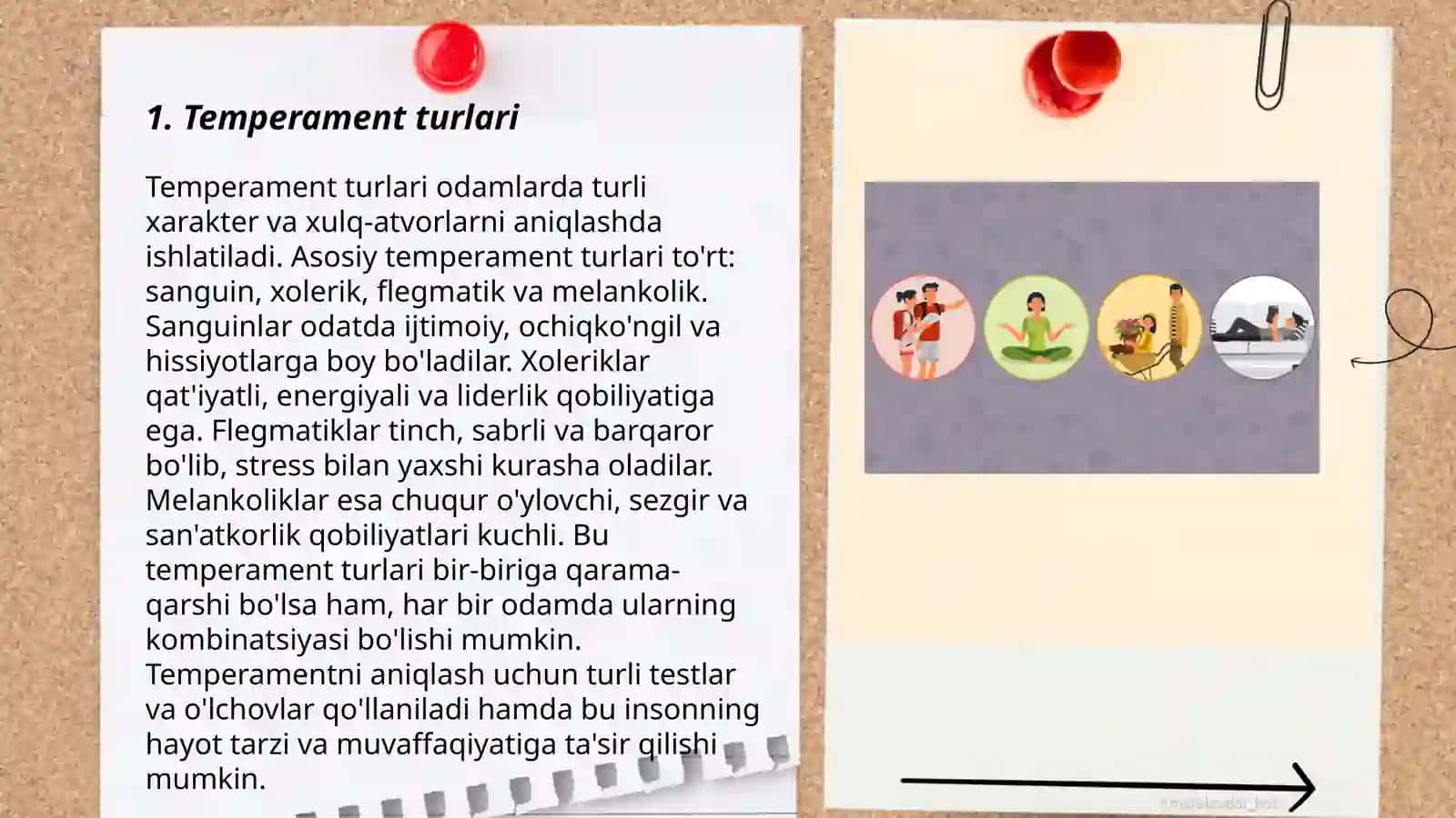 Temperament 3