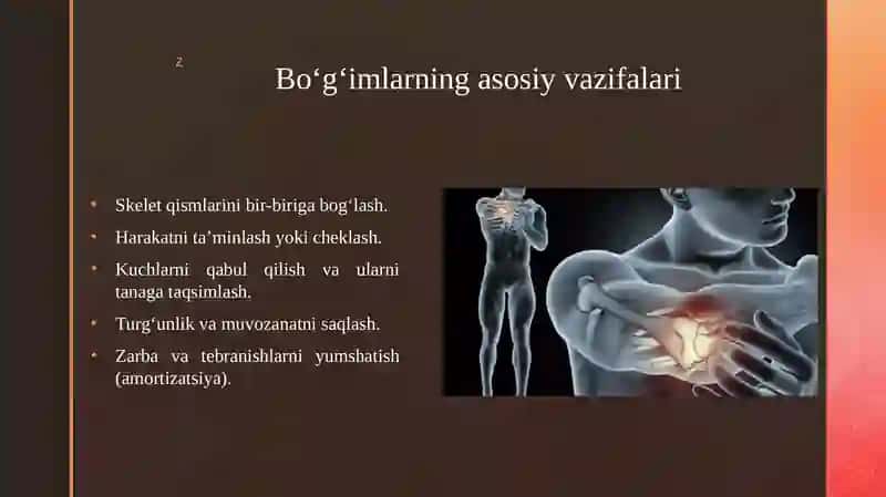 Bo’g’imlarning biomexanikasi 3