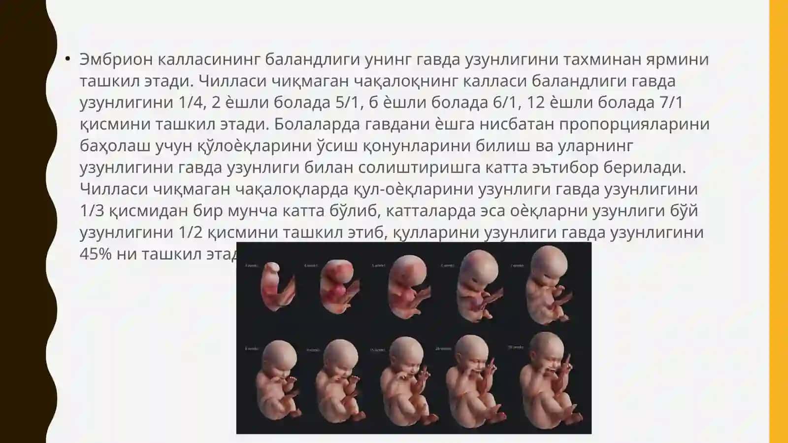 Боланинг жисмоний ривожланиши пропорцияси 3