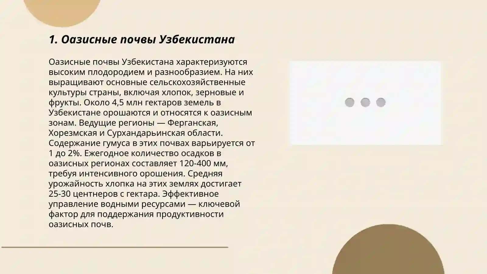 Оазисные почвы Узбекистана 3