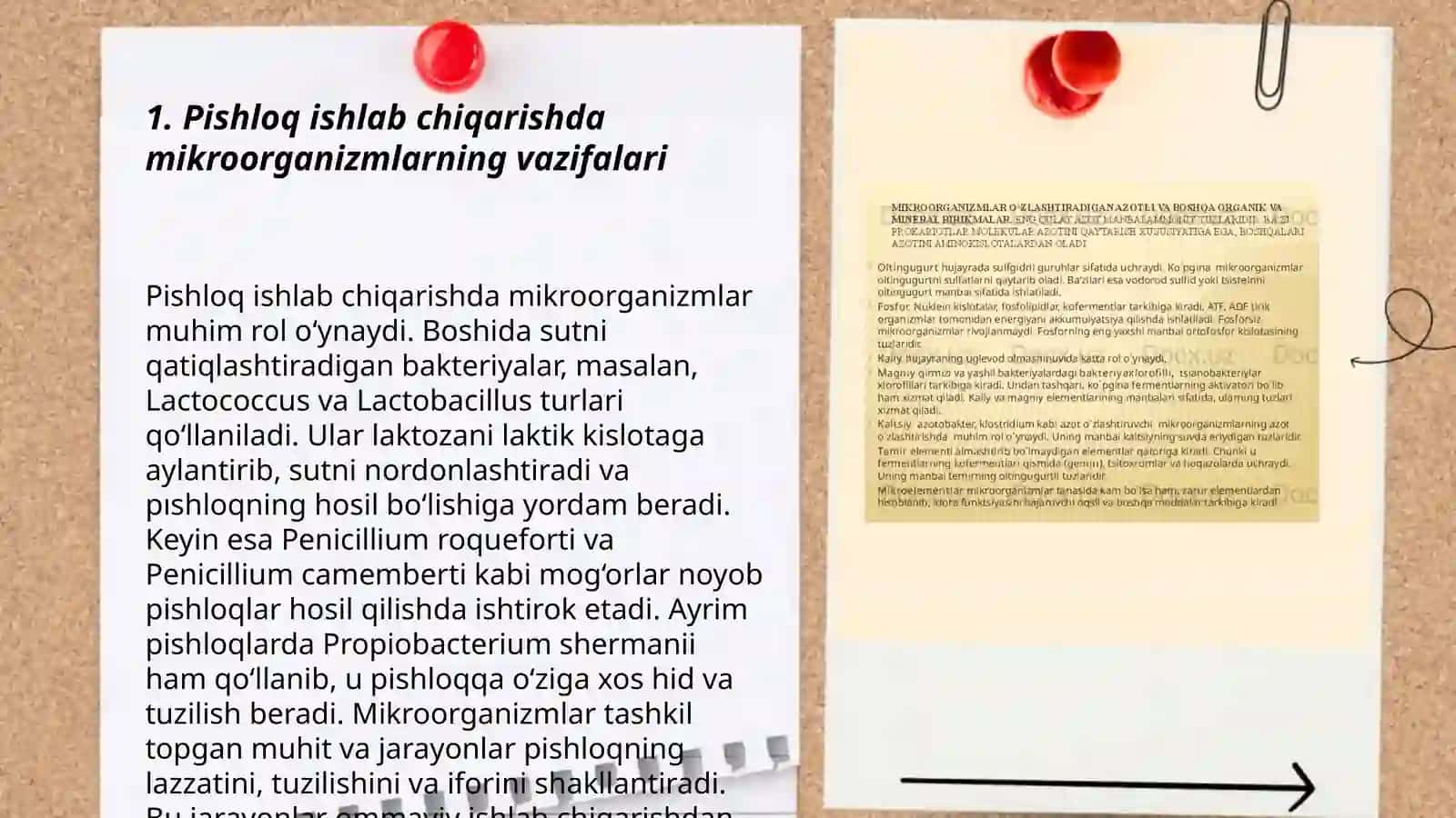 Oziq Ovqat sanoatida (pishloq ishlab chiqarishda )mikroorganizmlarning oʻrni 3