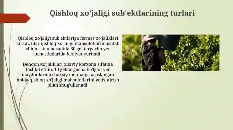 Qishloq xo'jaligi faoliyatida subyektlarining o'ziga xosligi va huquqiy holati 3
