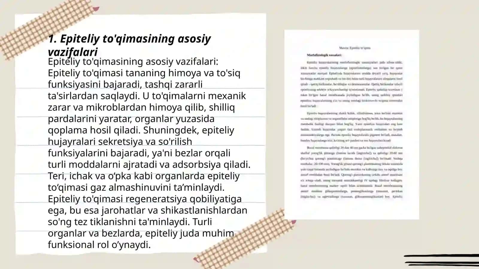 Epiteliy to'qimasi yopqich epiteliy turlari tuzilishi 3