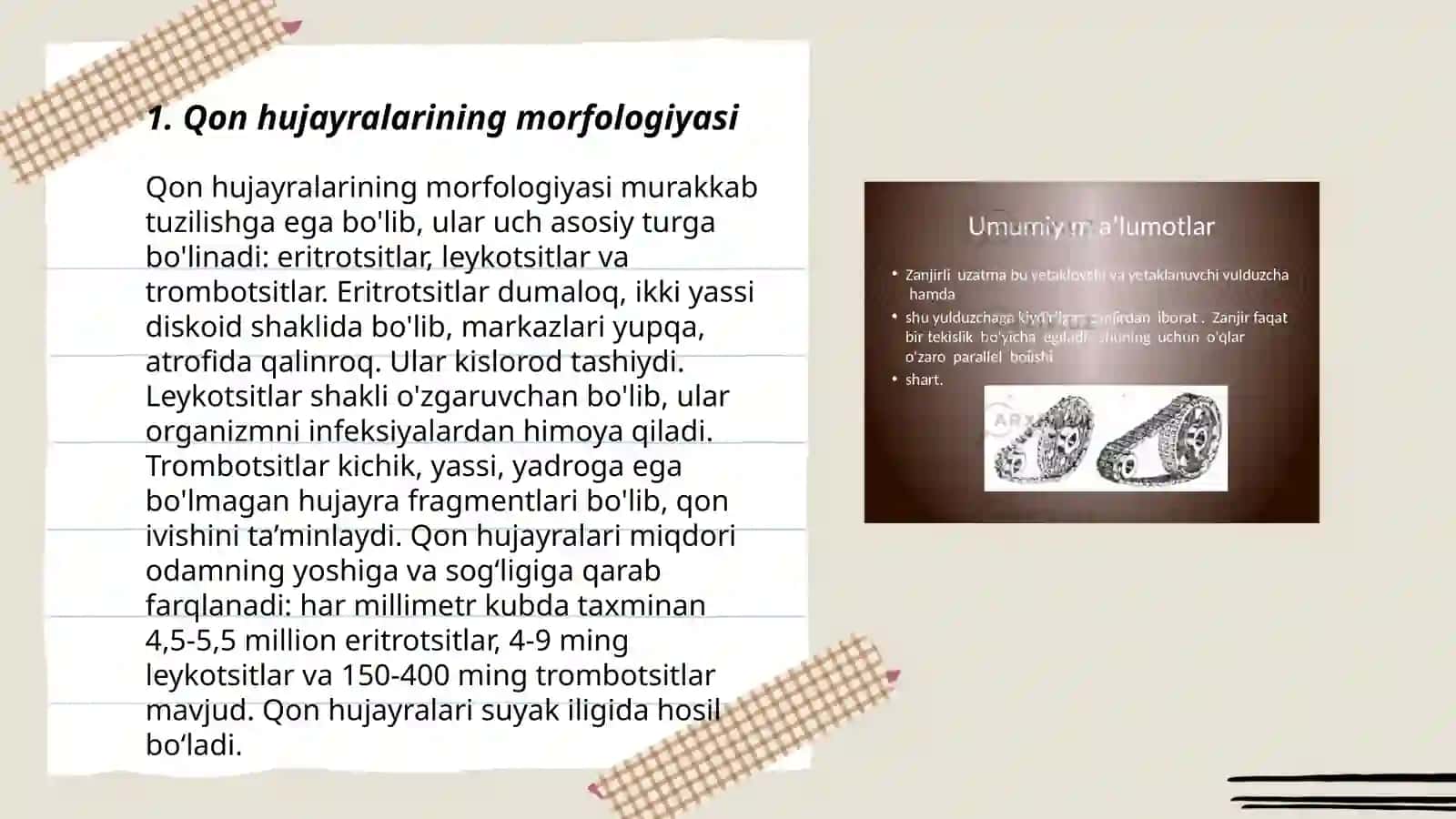 Qon hujayralarini morfo-funksional xarakteristikasi 3