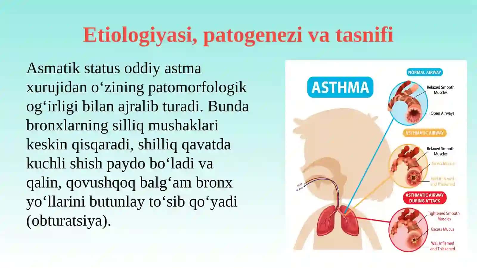 mustaqil ish taqdimot 3