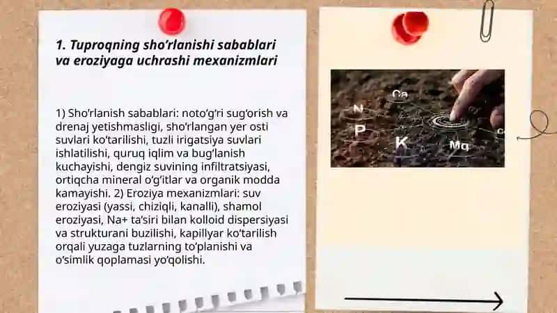 Tuproqning sho’rlanishi erroziyaga uchrashi va uning oldini olish chora tadbirlari 3
