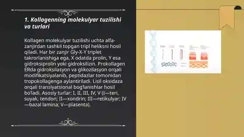 Kollogen va Elastin sintezi.Ularning kasaliklari 3