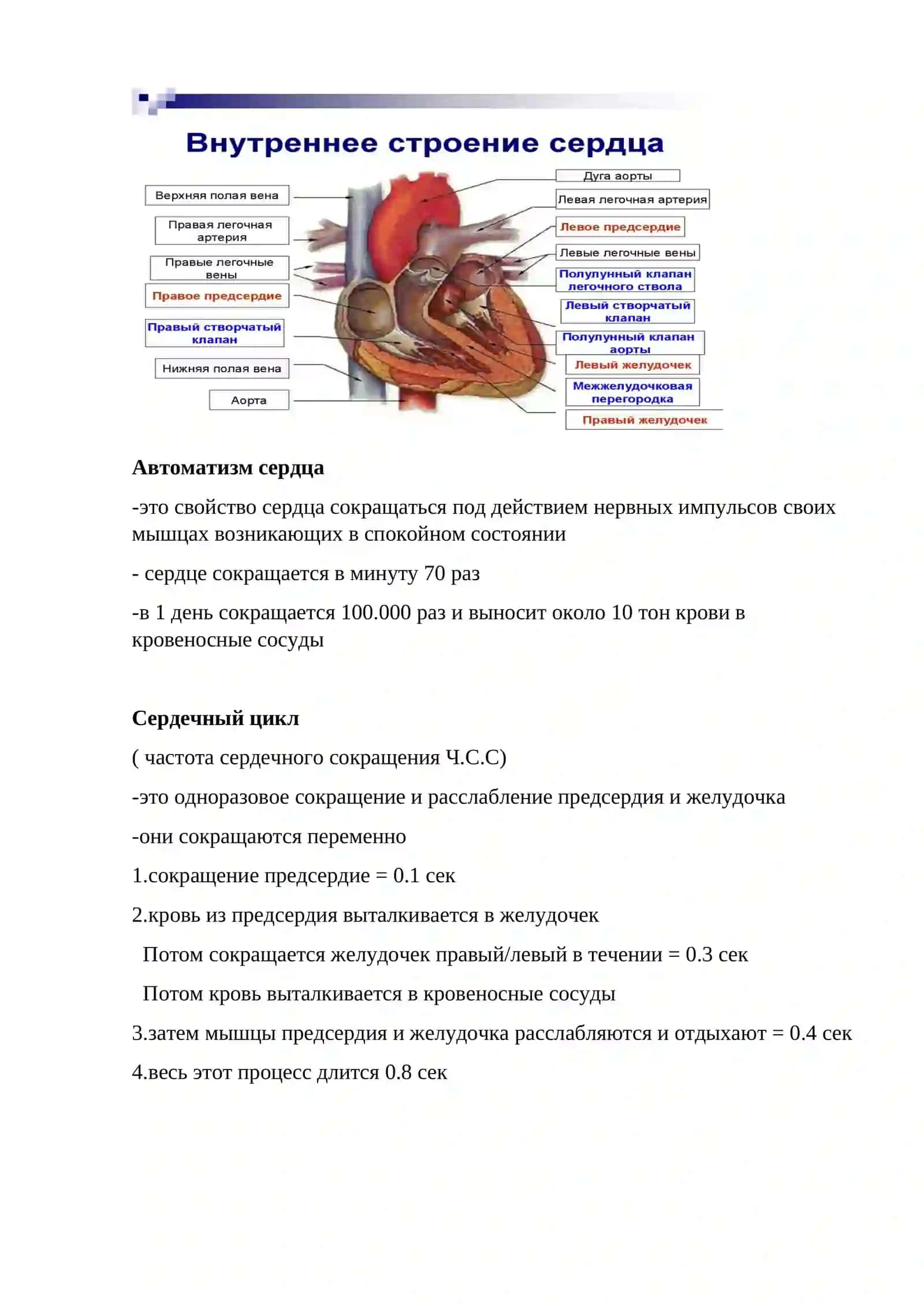 УРОК.5 КРОВЕНОСНАЯ СИСТЕМА 3