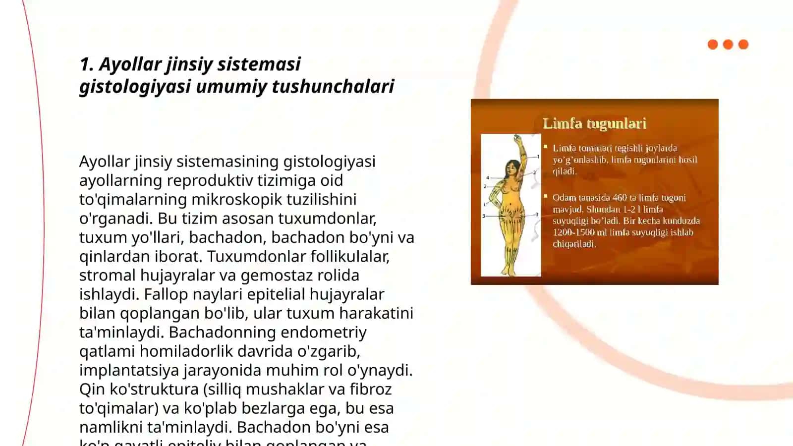 Ayollar jinsiy sistemasi gistologiyasi 3