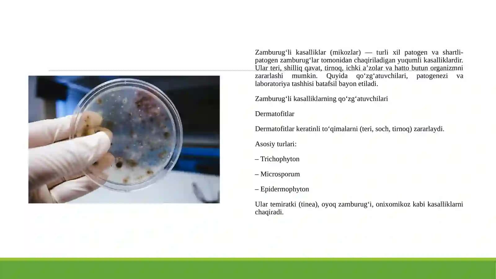 Zambrug'li kasalliklarning qo'zg'atuvchilari patogenezi, laboratoriya tashhisi 3