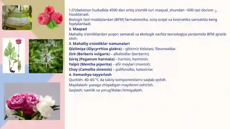 Mahalliy o’simliklarda biologik faol modda ajratish texnologiyasini ishlab chiqish 3