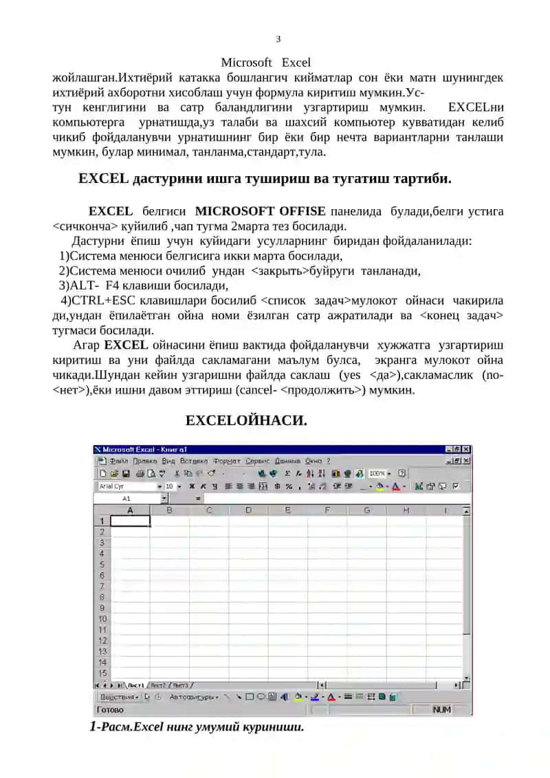 Microsoft Excel 3