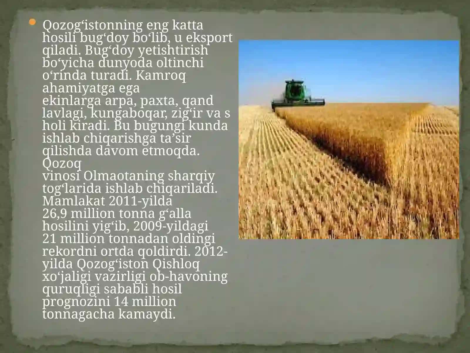 AGROSANOAT MAJMUASI:Qozog’iston Respublikasi Yuldashov Sardor 3
