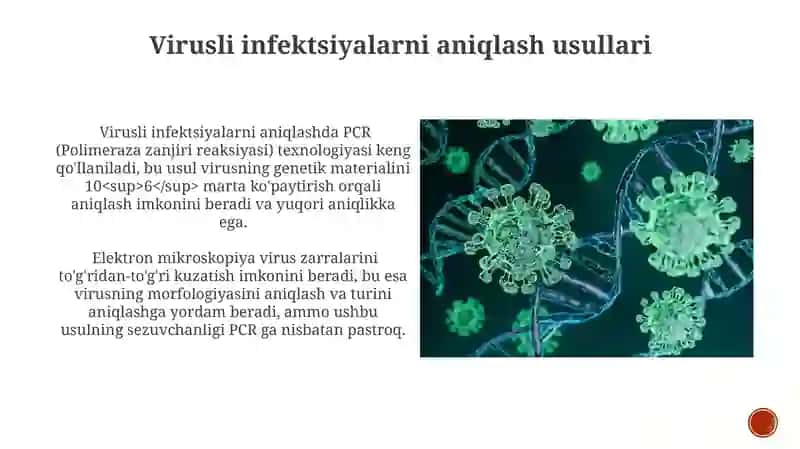 Virus infeksiyasi 3