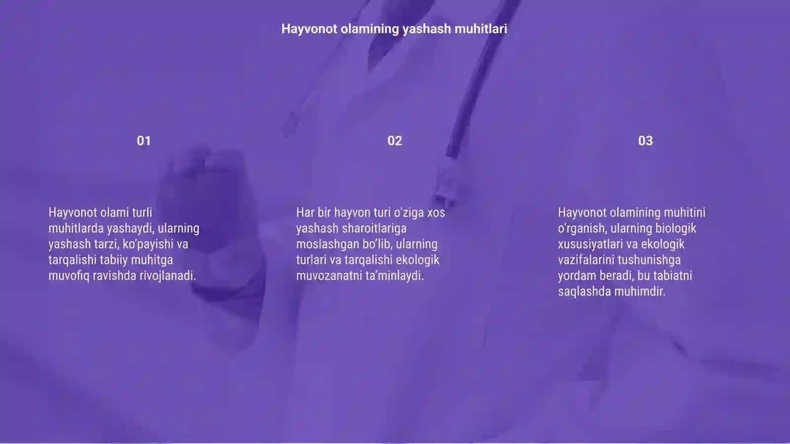Hayvonot olami 3