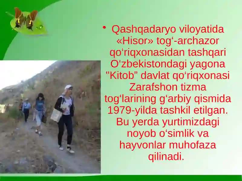 "Kitob” davlat qo‘riqxonasi 3