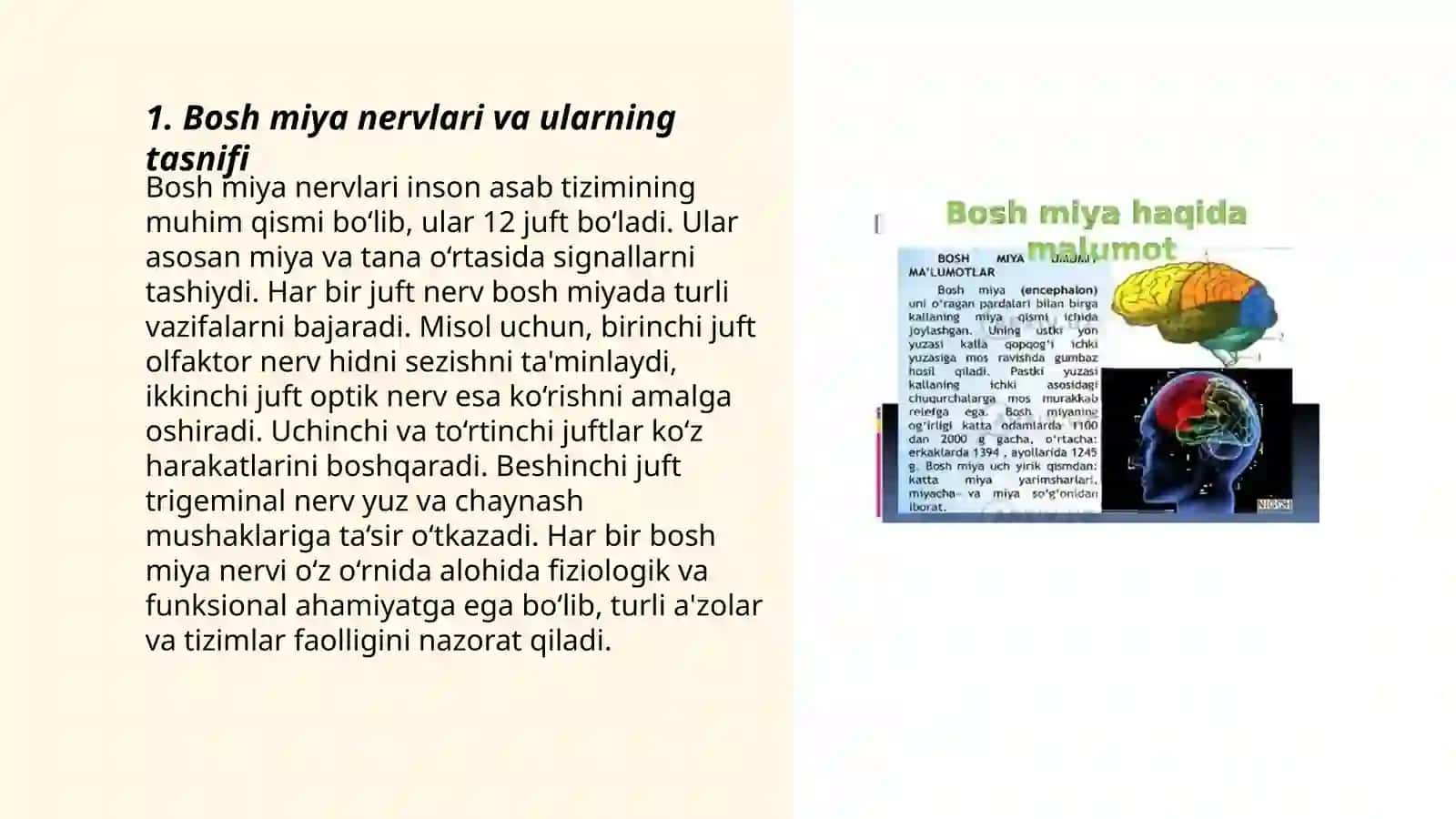 Sezuvchi bosh miya nervlari 3