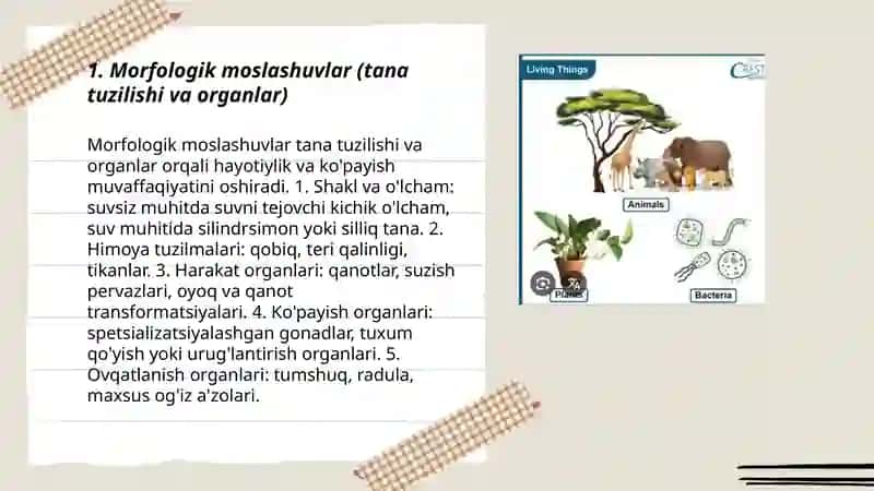 Organizmlarning tirik tug'ishga moslanishlari 3