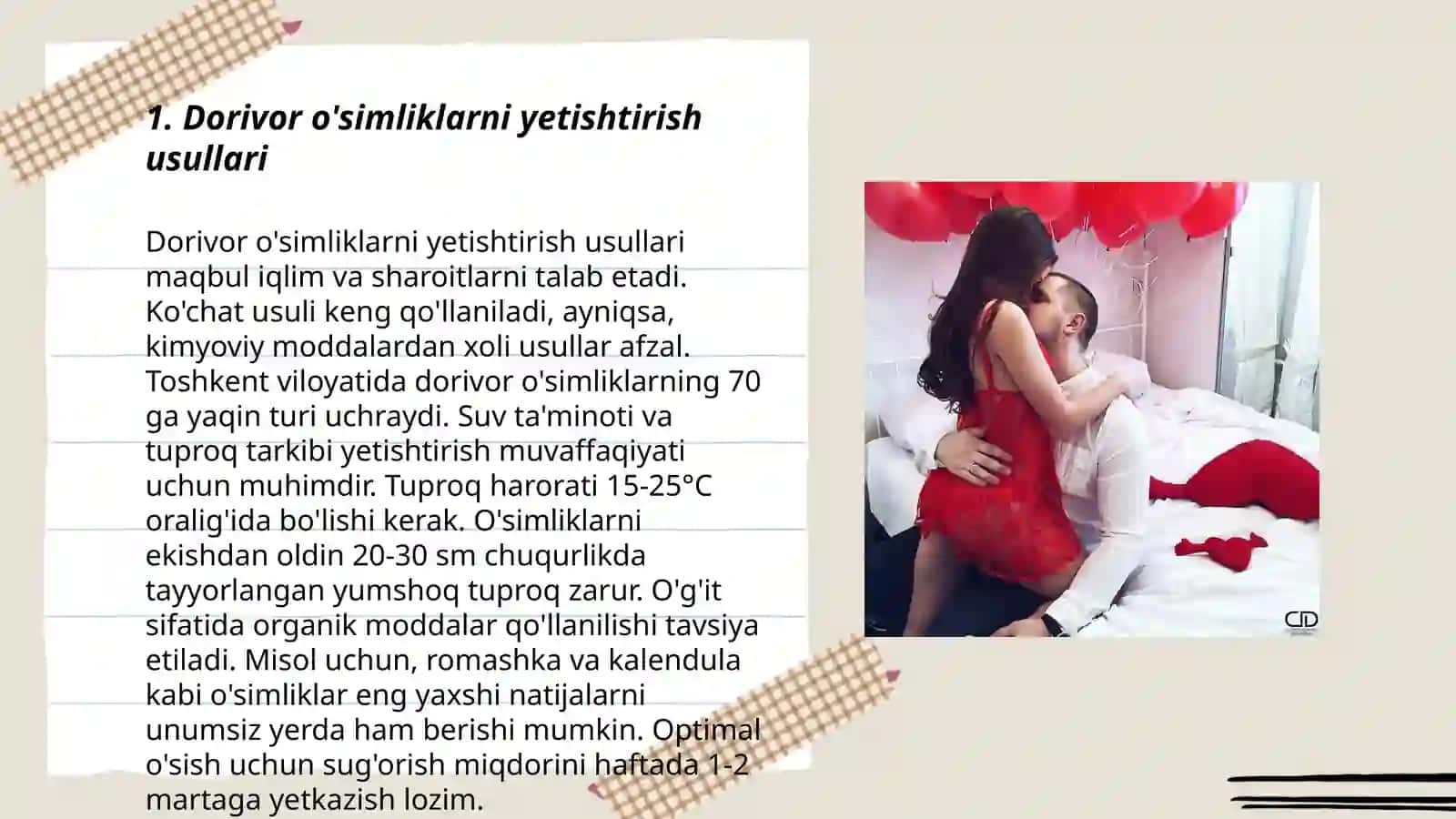 Dorivor o'simliklarni yetishtirish usullari 3