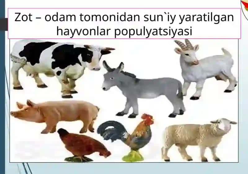 O`simlik va hayvonlar seleksiyasi 3