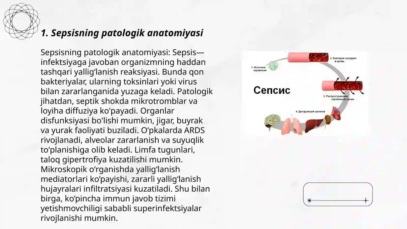 Sepsisning patologik anatomiyasi 3