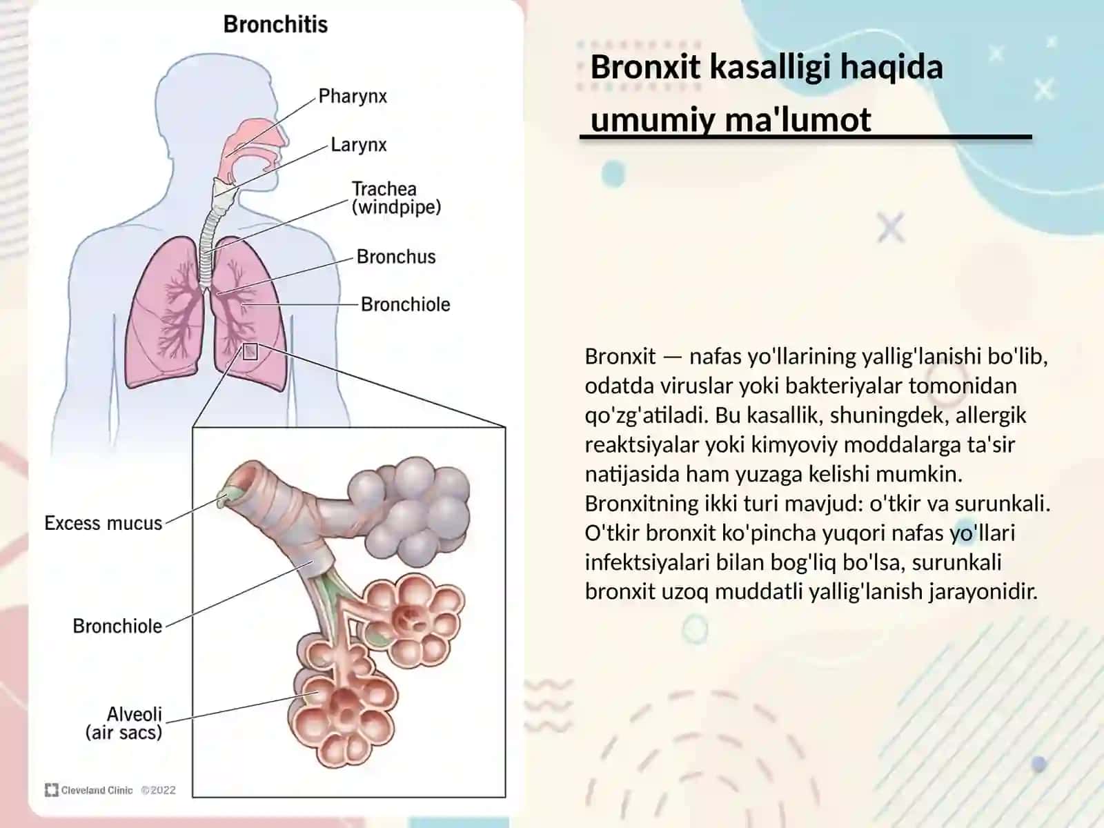 Bronxit kasalligi haqida umumiy ma'lumot 3