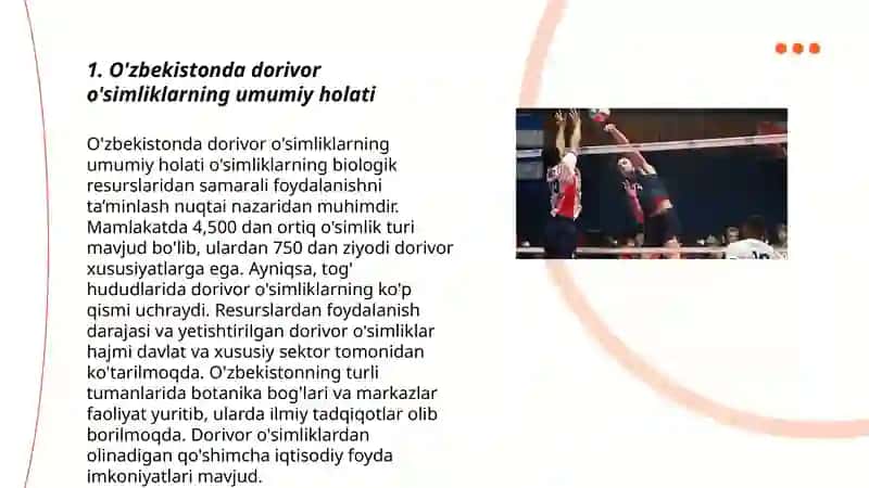 O'zbekistonda dorivor o'simliklarning umumiy holati 3