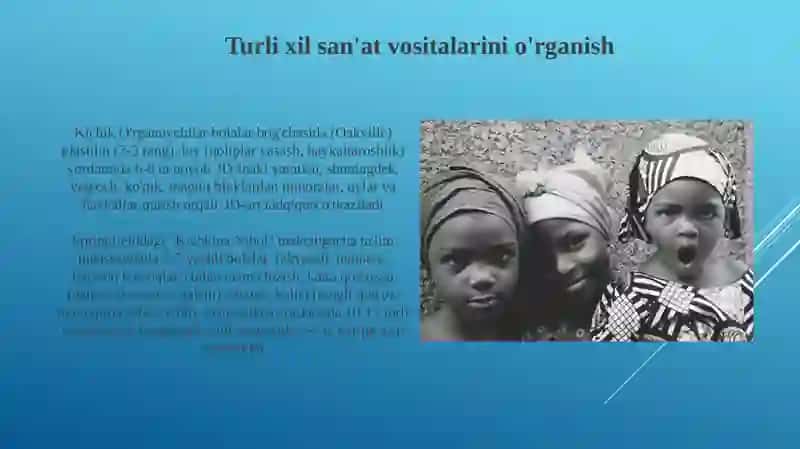Maktabgacha yoshdagi bolalarni tasviriy san'at asarlari bilan tanishtirish 3