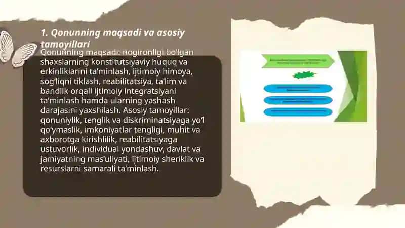 Oʻzbekiston Respublikasida Nogironligi ijtimoiy himoya qilish toʻgʻrisidagi qonun 3