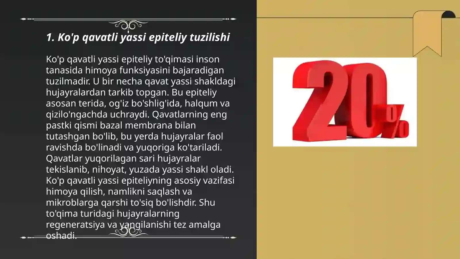 Ko'p qavatli muguzlanmaydigan yassi epetiliy qavatlari 3