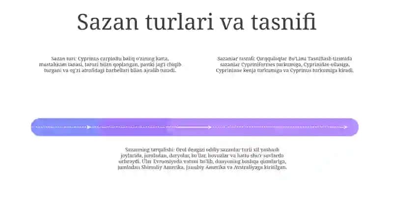 Qirqquloqlar Bo'Limi 3