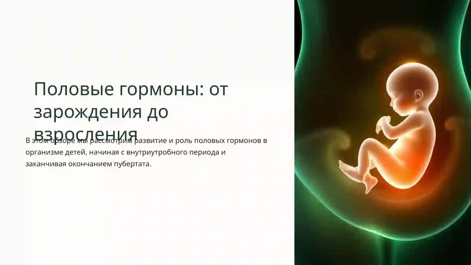 Активность и источники синтеза половых гормонов у девочек и мальчиков от внутриутробного периода до окончания пубертата 3