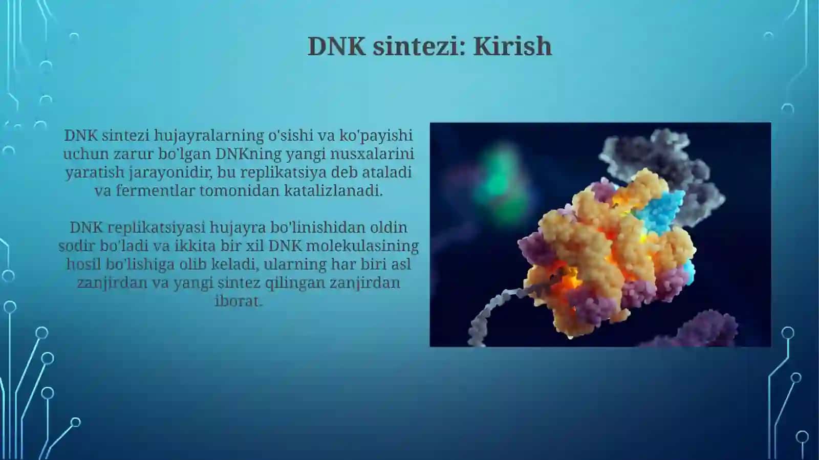 DNKsintezi 3