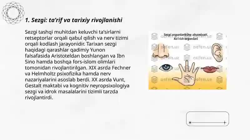 Sezgi 3
