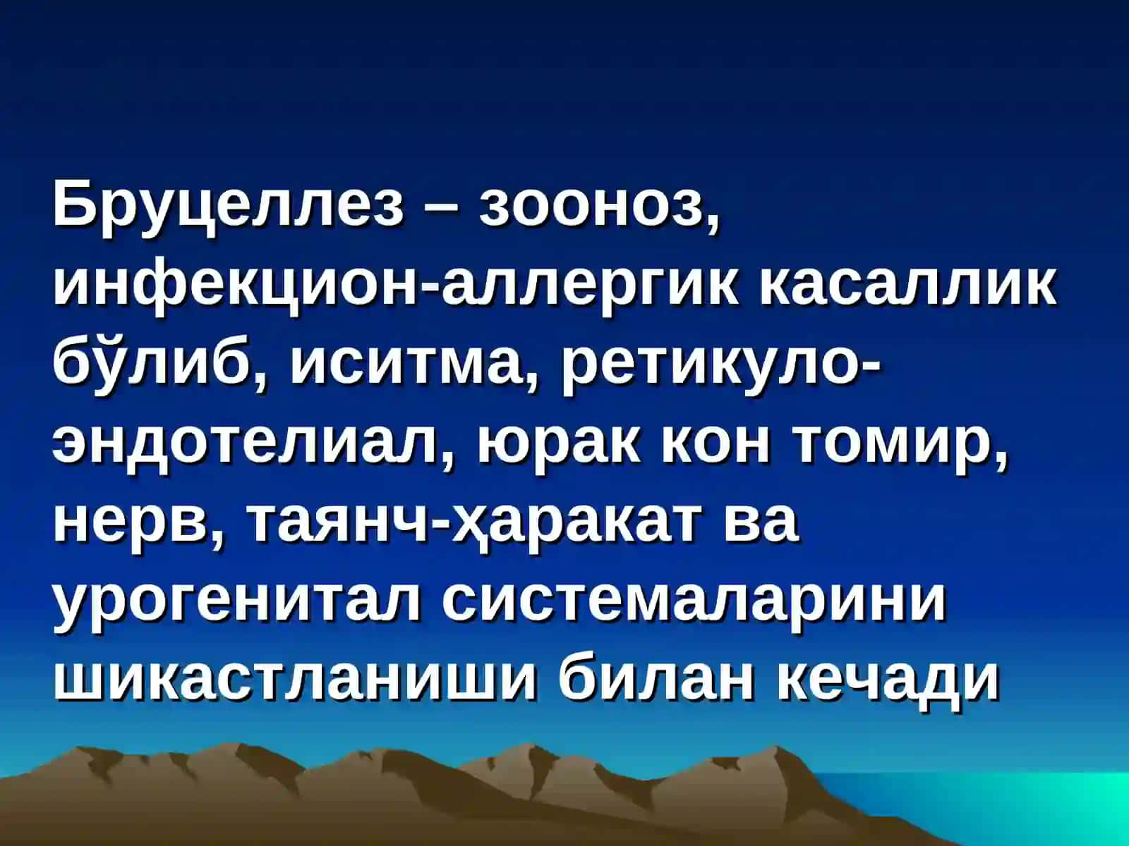 БРУЦЕЛЛЁЗ 3