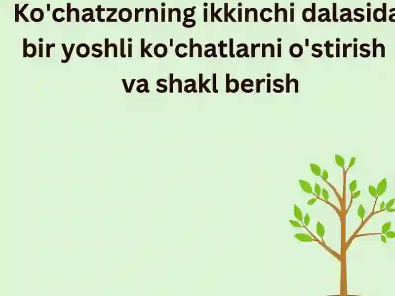 Meva ko‘chatzorining ikkinchi dalasida Tadbirlar Reja 3