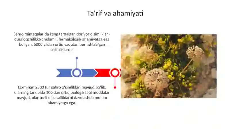Choʻl mintaqasidagi tarqalgan dorivor oʻsimliklar taksonomertyasi 3