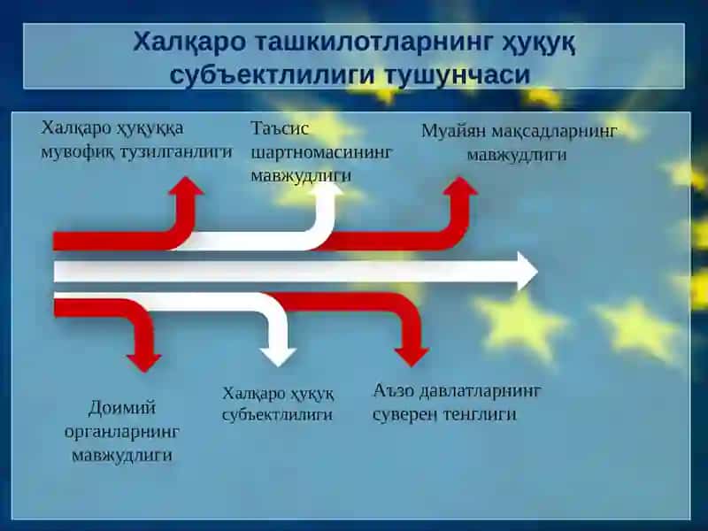 Халқаро ташкилотларнинг ҳуқуқ субъектлилиги ва халқаро-ҳуқуқийлаёқати 3