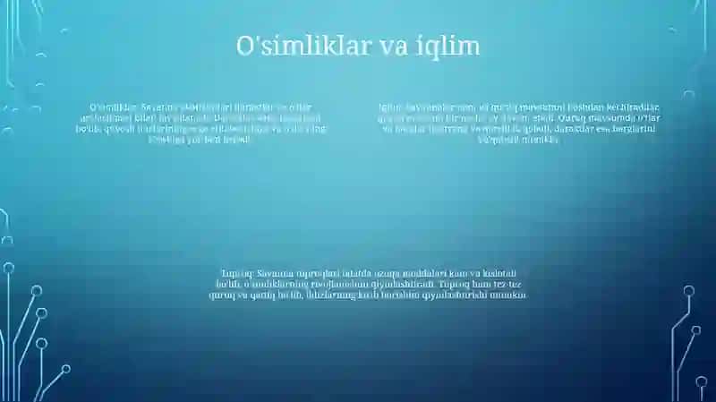 Savanna Va Siyrak Órmon Tuproqlari 3