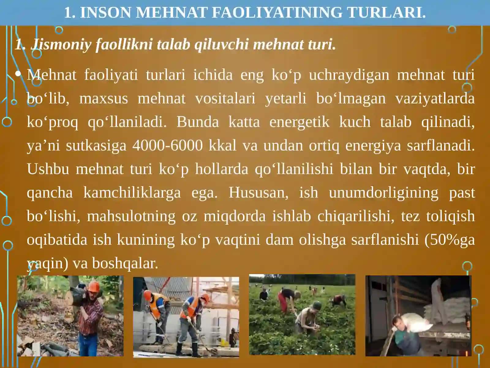 Faoliyat xavfsizligini ta'minlashning ergonomika va psixologik asoslari 3