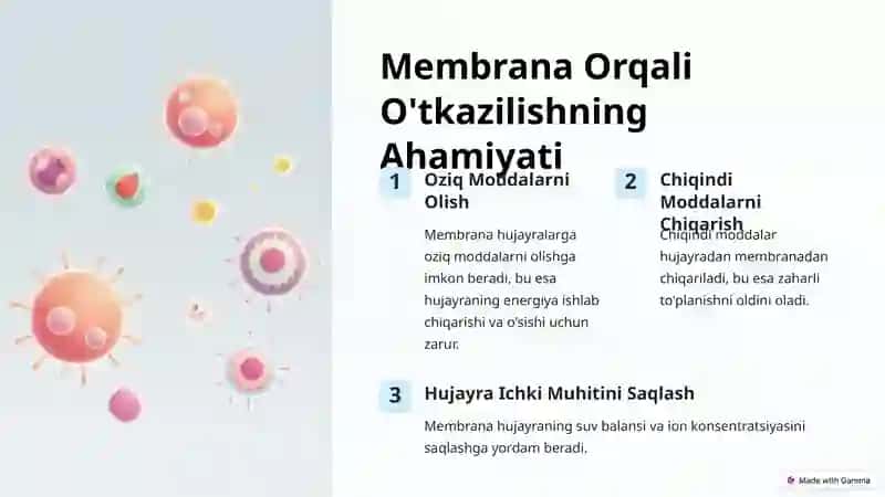 Moddalarning Membrana Orqali O'tkazilishi 3
