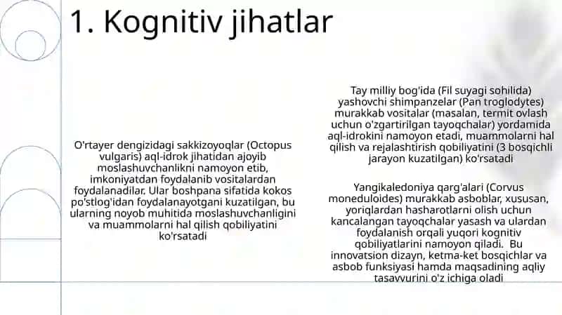 Hayvonlarda mehnat qurollaridan foydalanish 3