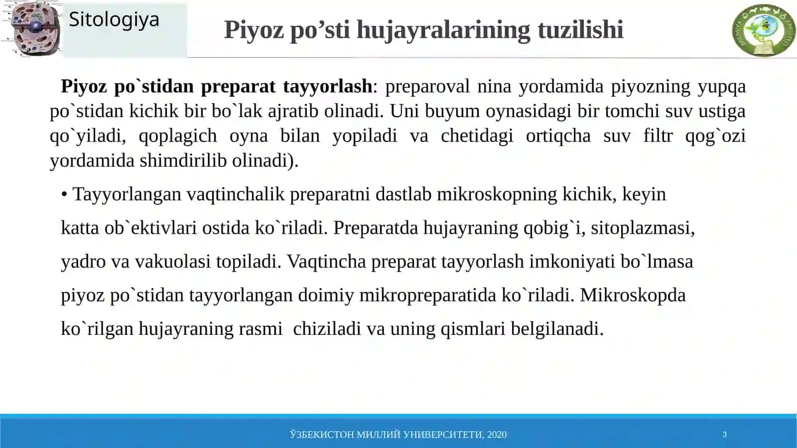 Piyozpo’sti hujayralarining tuzilishi 3