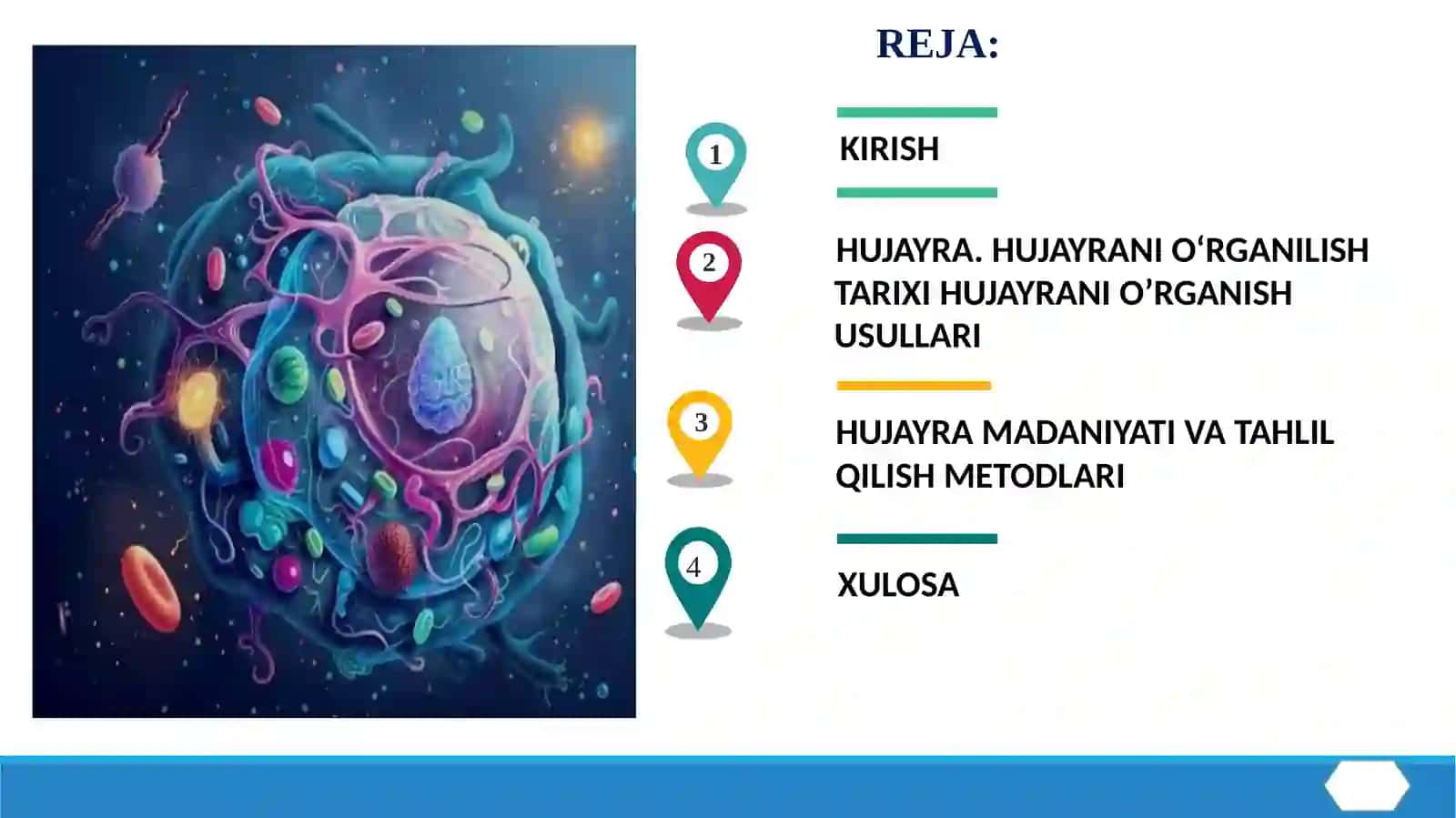 Hujayra madaniyati va tahlil qilish metodlari 3