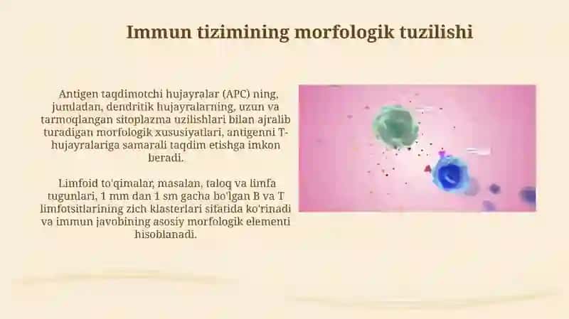 Immun-himoya reaksiyalaring morfologik asoslari 3